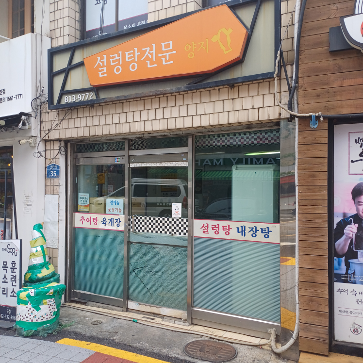 양지 1