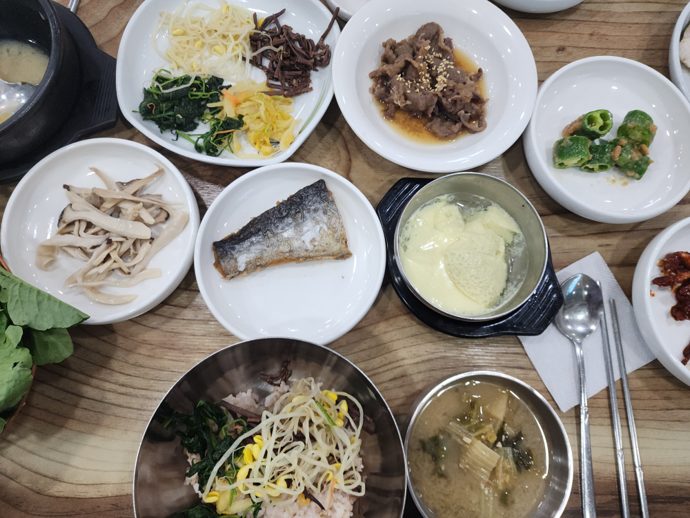 벽오동 2