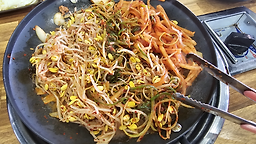 한여사네 사진 2