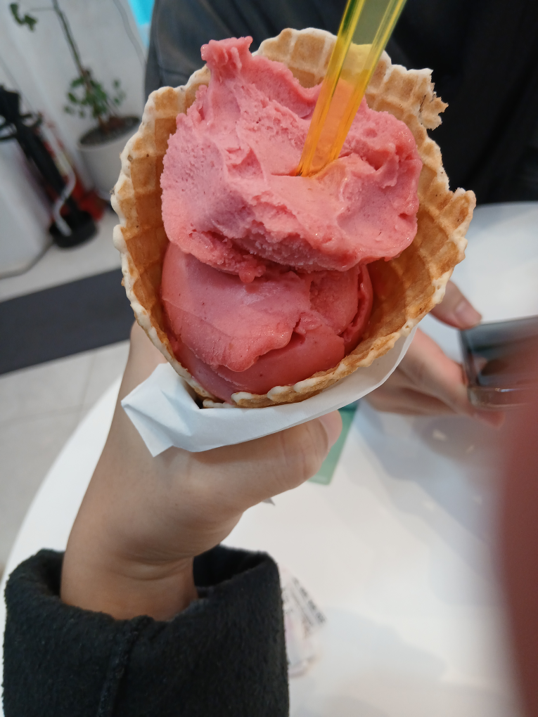 스쿱스 6