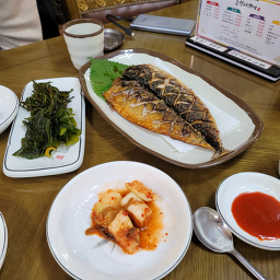 소섬바라기 사진 7
