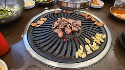 낙동생오리 2