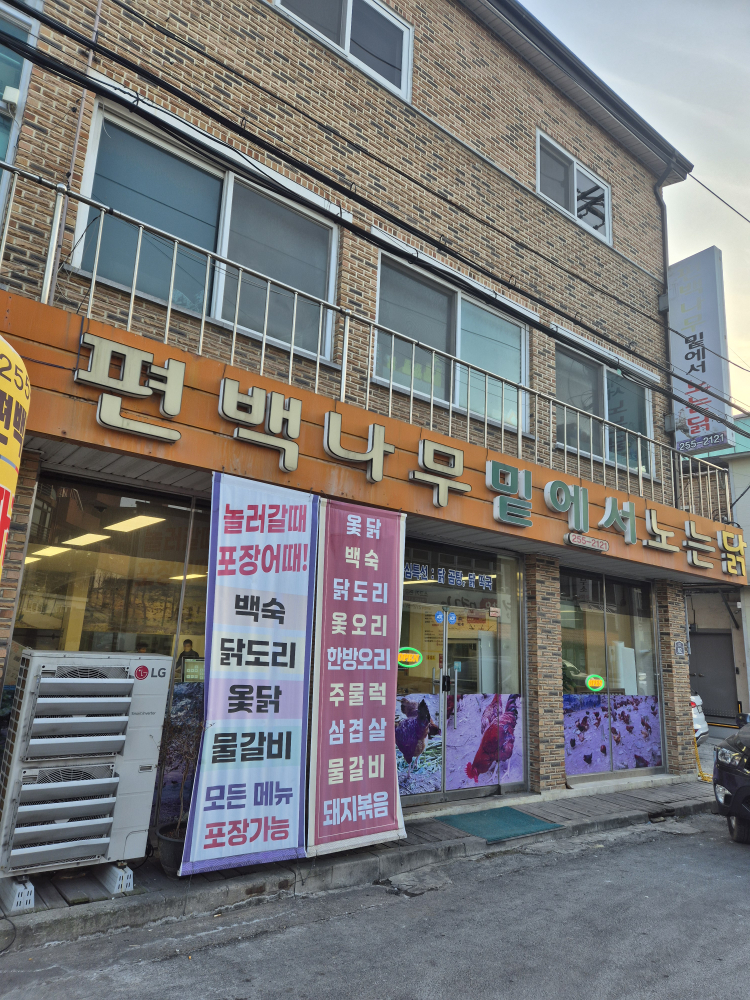 Pyeonbaeknamumiteseononeundak (편백나무밑에서노는닭) 1