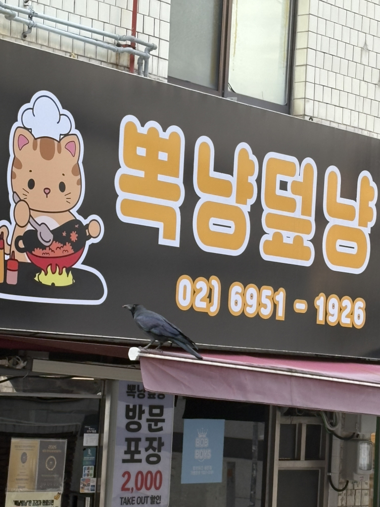 뽁냥덮냥 대표 사진