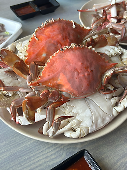 반도회관 대표 사진
