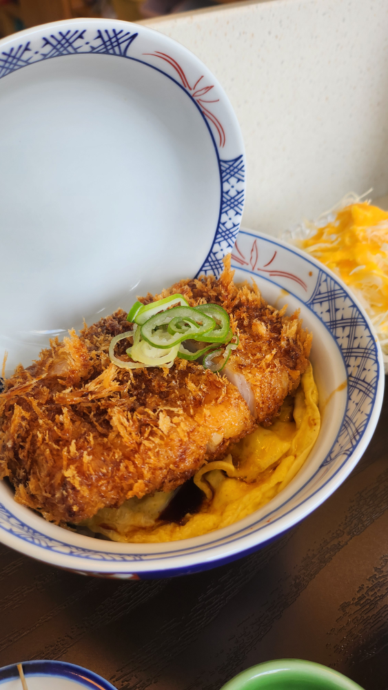 하카츠 대표 사진