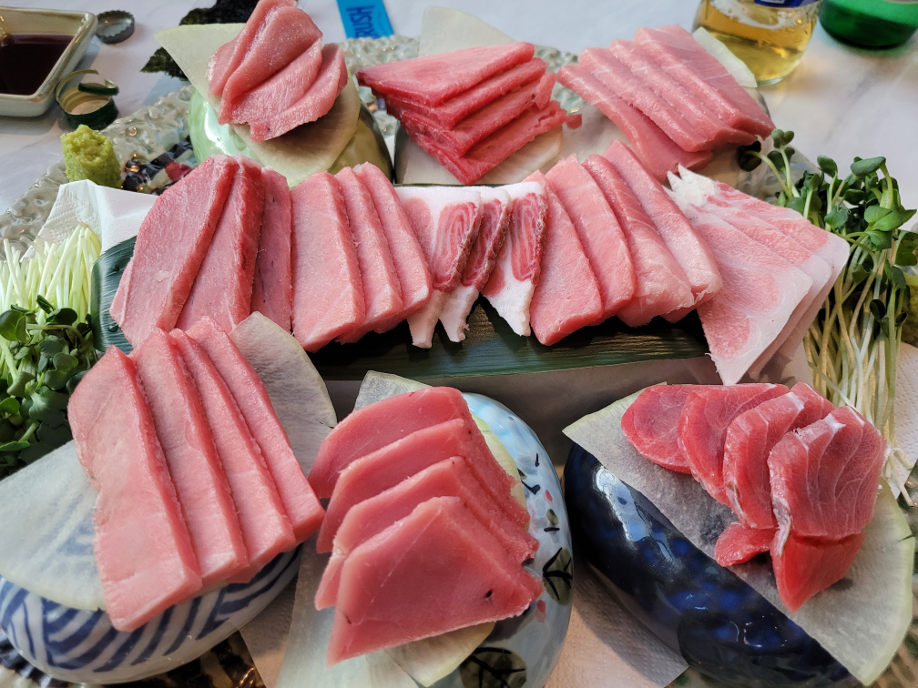 고레와참치 2