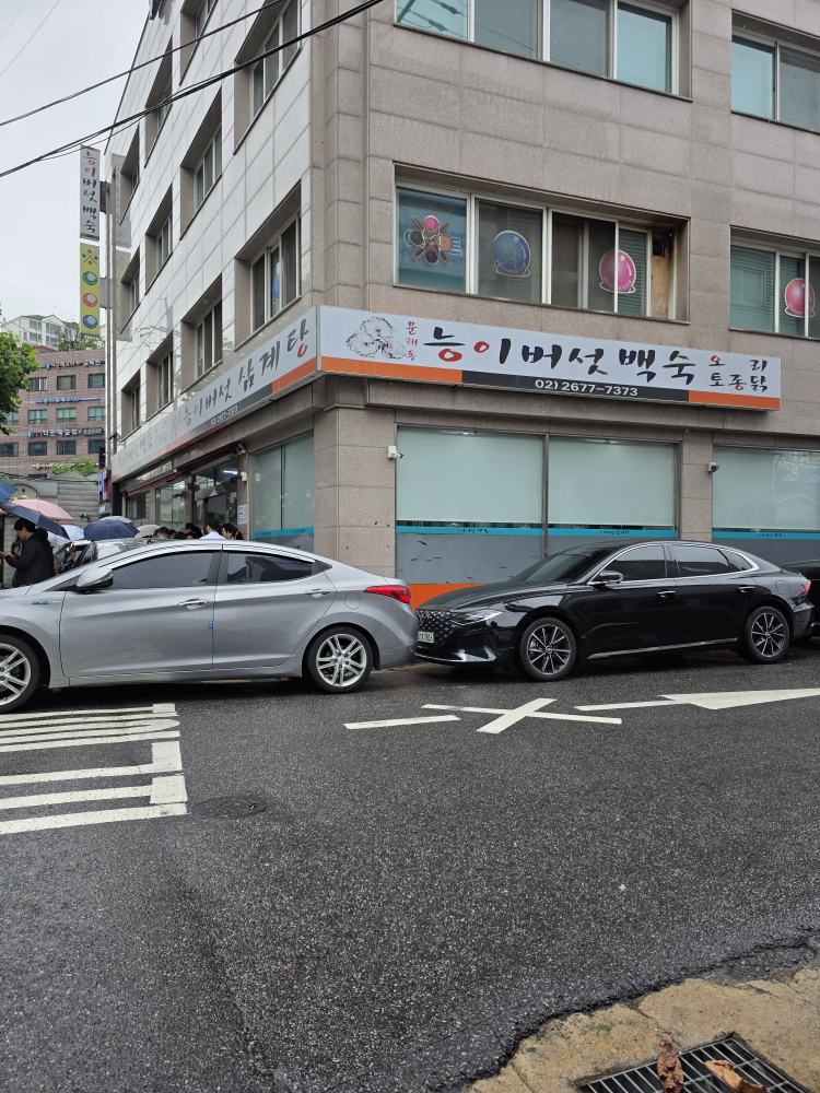 능이버섯백숙 5
