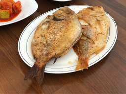 애월고사리밥 사진 4