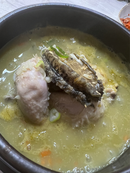 김윤미전복삼계탕북정 4