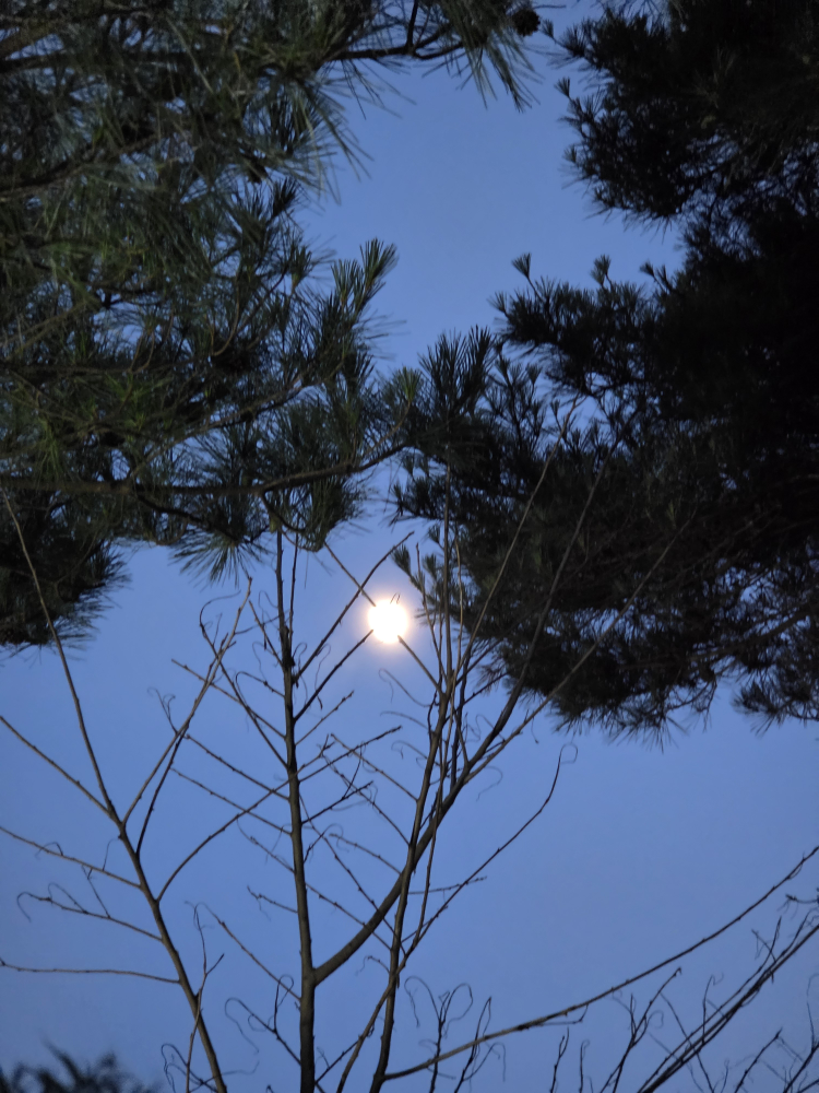 삼년산성송어장 4