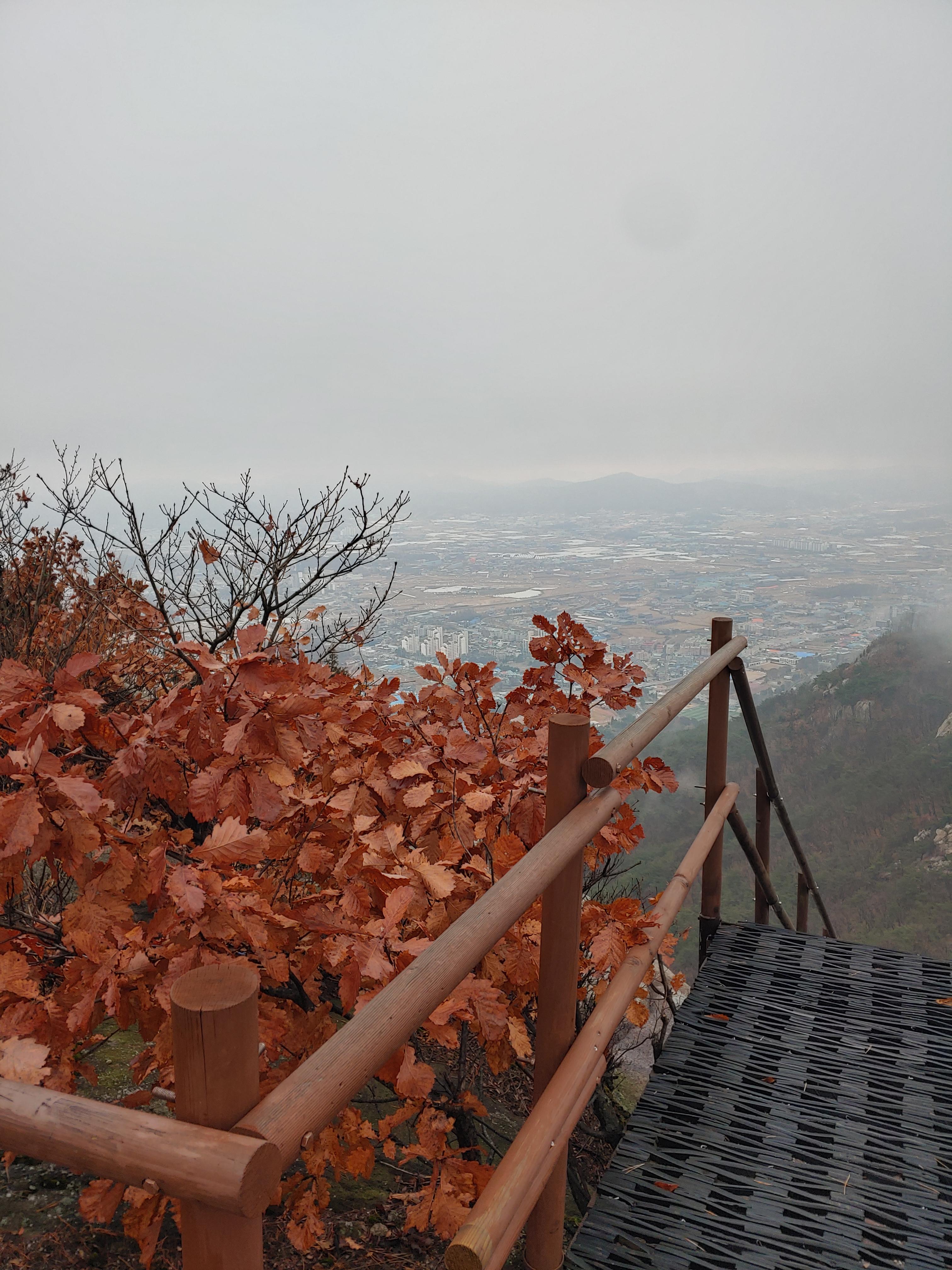 Sigolcheonggukjang 5