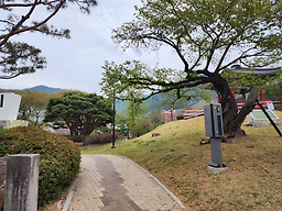 Daega 4