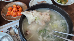 Jeongilpumsamgyetang 6
