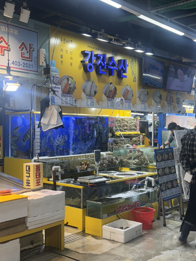 강진수산 사진 3