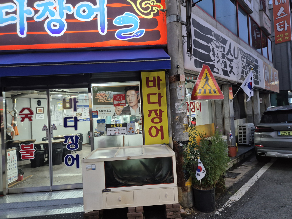 Badajangeo (바다장어) 1