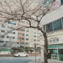 다비움, 카페마렌 청학마루점 3