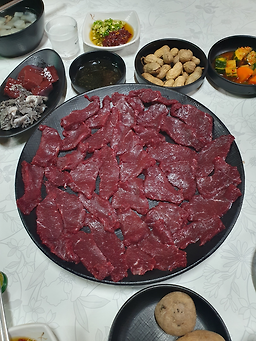 계수나무 1