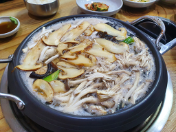 산골버섯 1