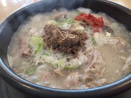 비둘기집 사진 6