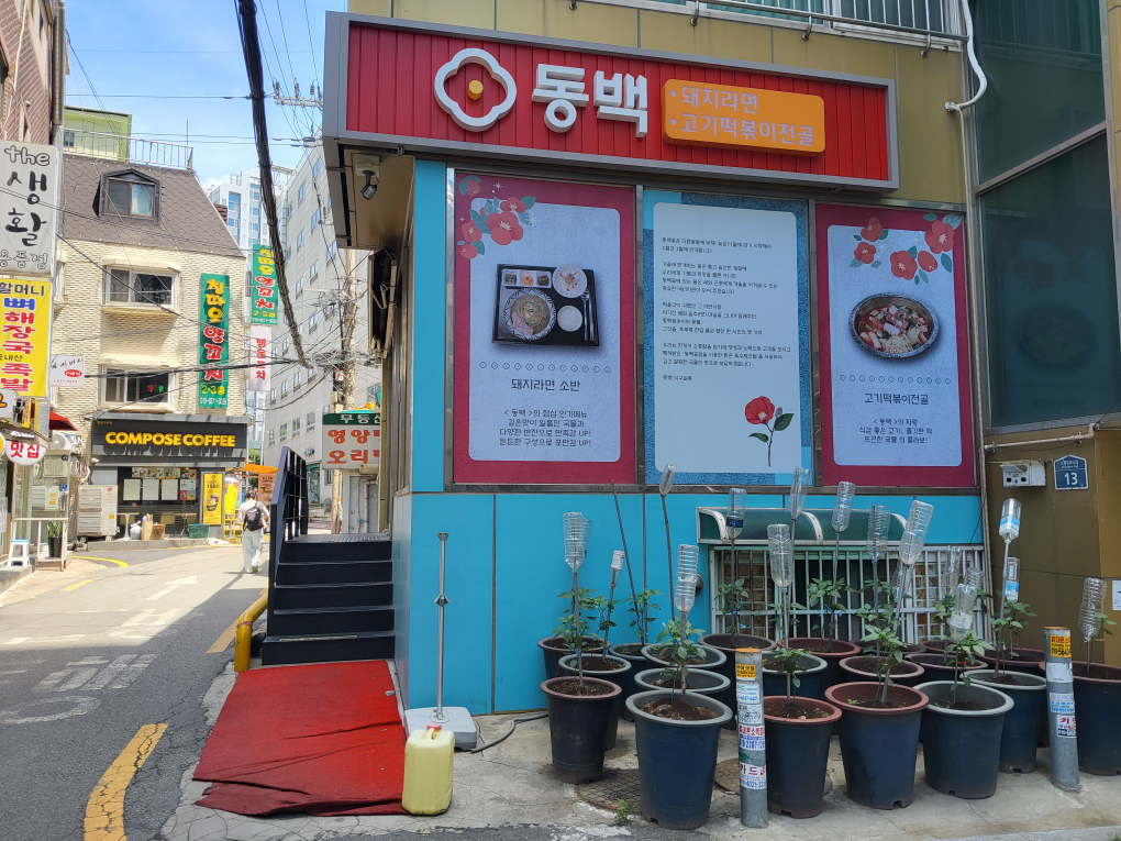 동백 사진 2