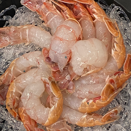 닻 사진 2