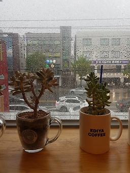 Ediya Coffee 5