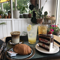 카페라밀 5