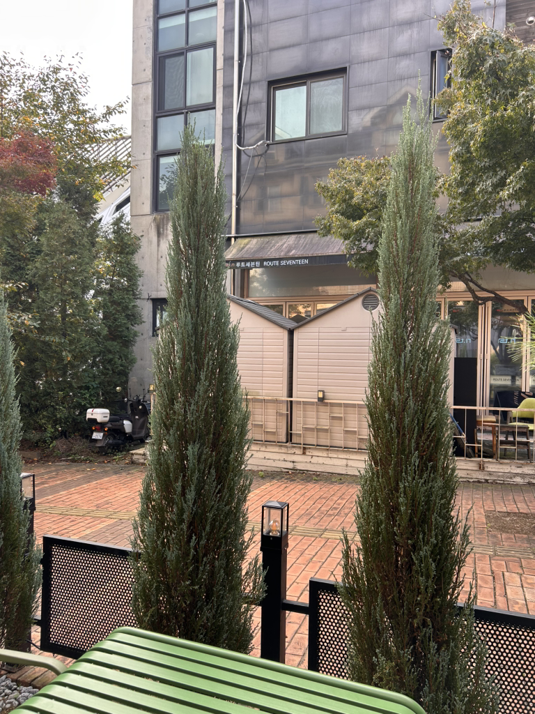 스톨 사진 2