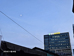 Jangeodaehak (장어대학) 1