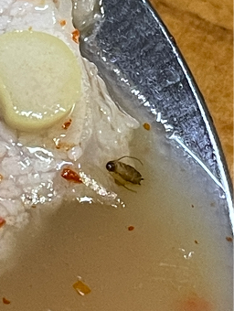 Hanildwaejigukbap 6