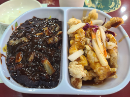 북경원 사진