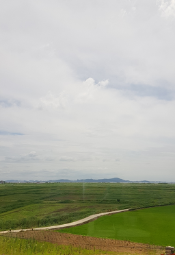 Hanjarihanteok 6