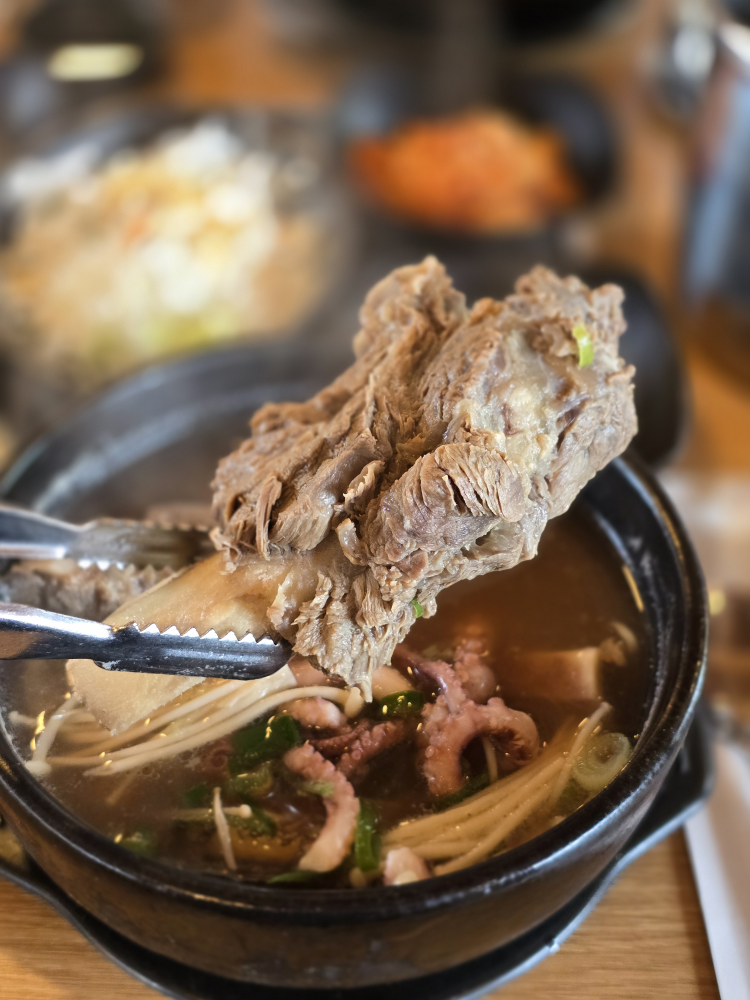 덕진헌 6