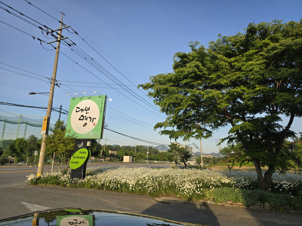 Daebomyeongga (대보명가) 2