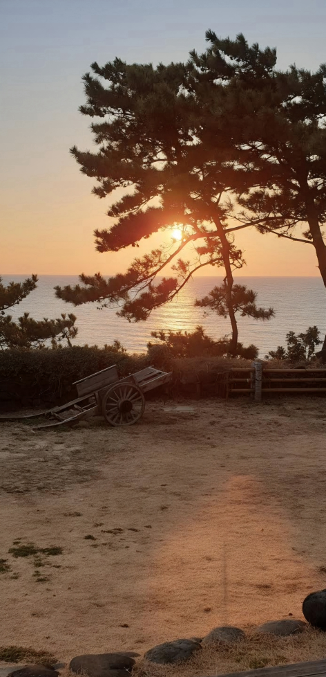 청초수물회 제주점 사진 8