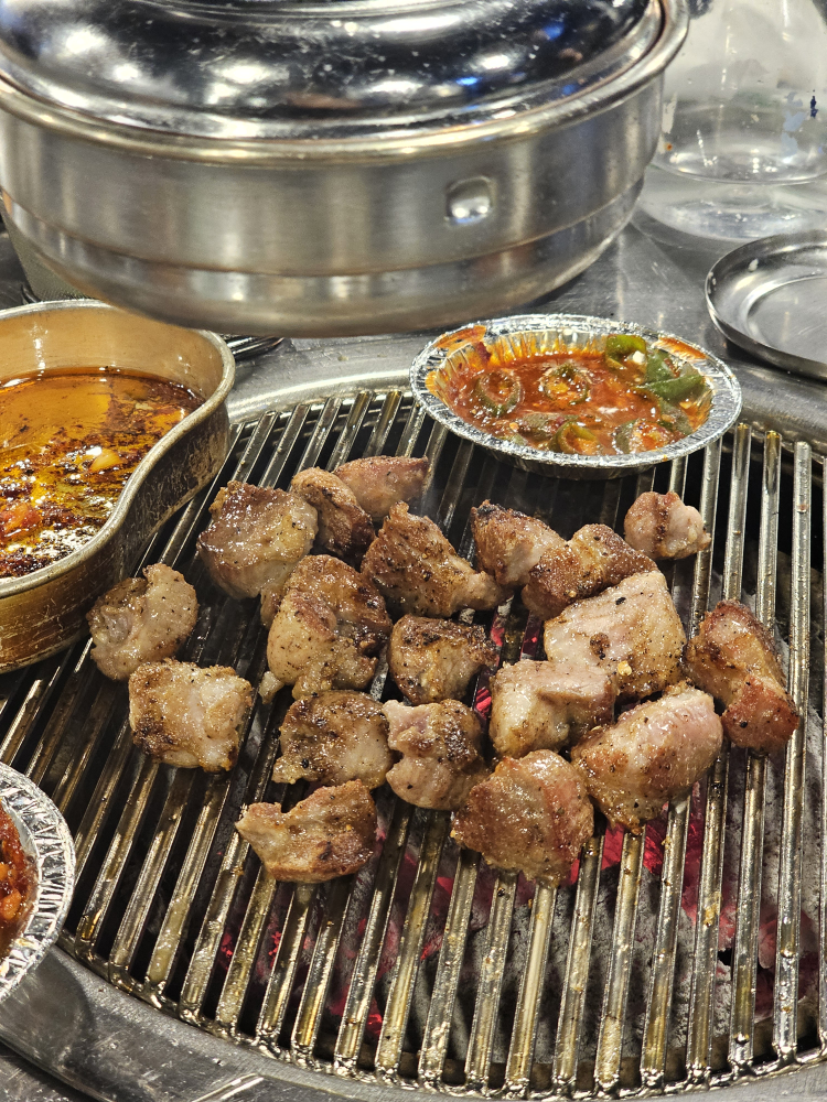 평야 사진 3