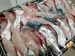 산방산회센터 사진 8