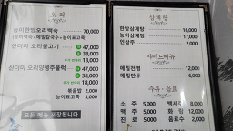Songhaewaoribaeksuk (송해와오리백숙) 1