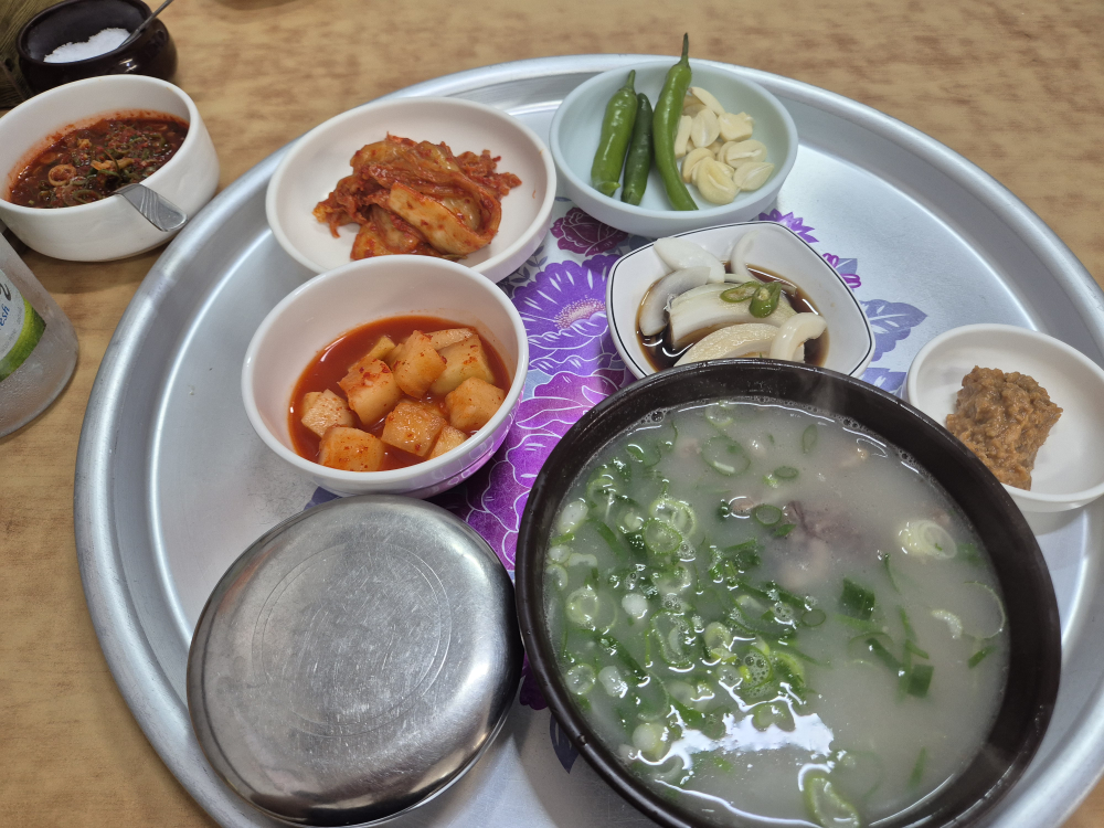 하양할매곰탕 3