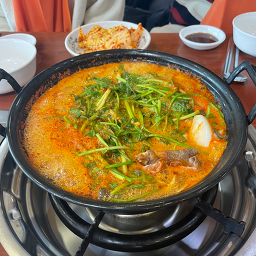 Deungchonsyabeukalguksu (등촌샤브칼국수) 2