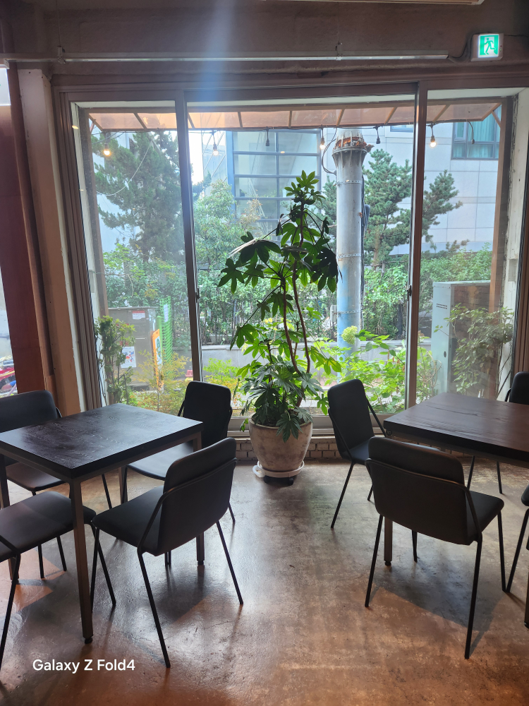 브릿지 파노라마 사진 4