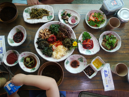 점봉산산채 11