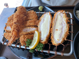 진돈 대표 사진