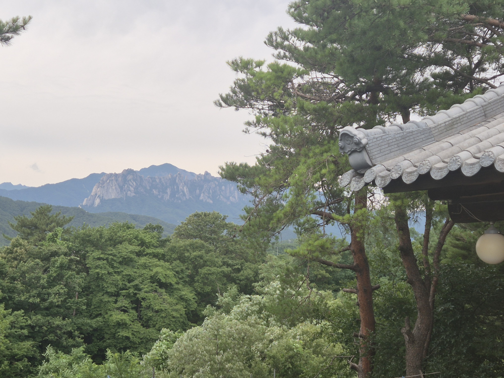 두메산골 5
