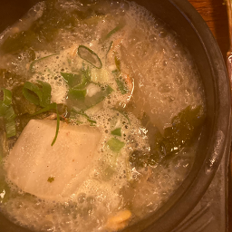달빛참치 6