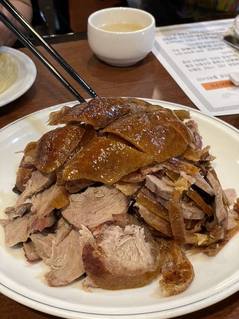 베이징코야 6