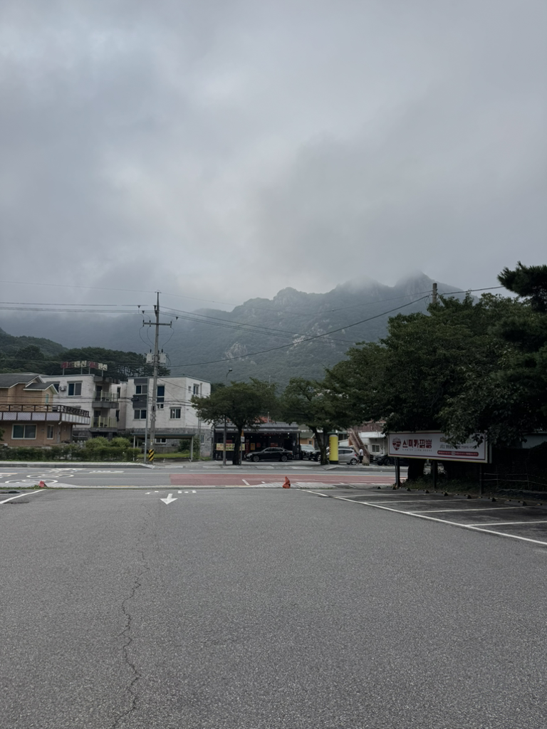 신미가 짬뽕 사진