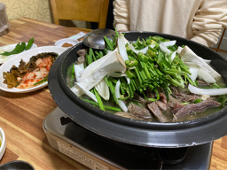 가막골흑염소 1