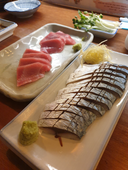하타나카 사진 2